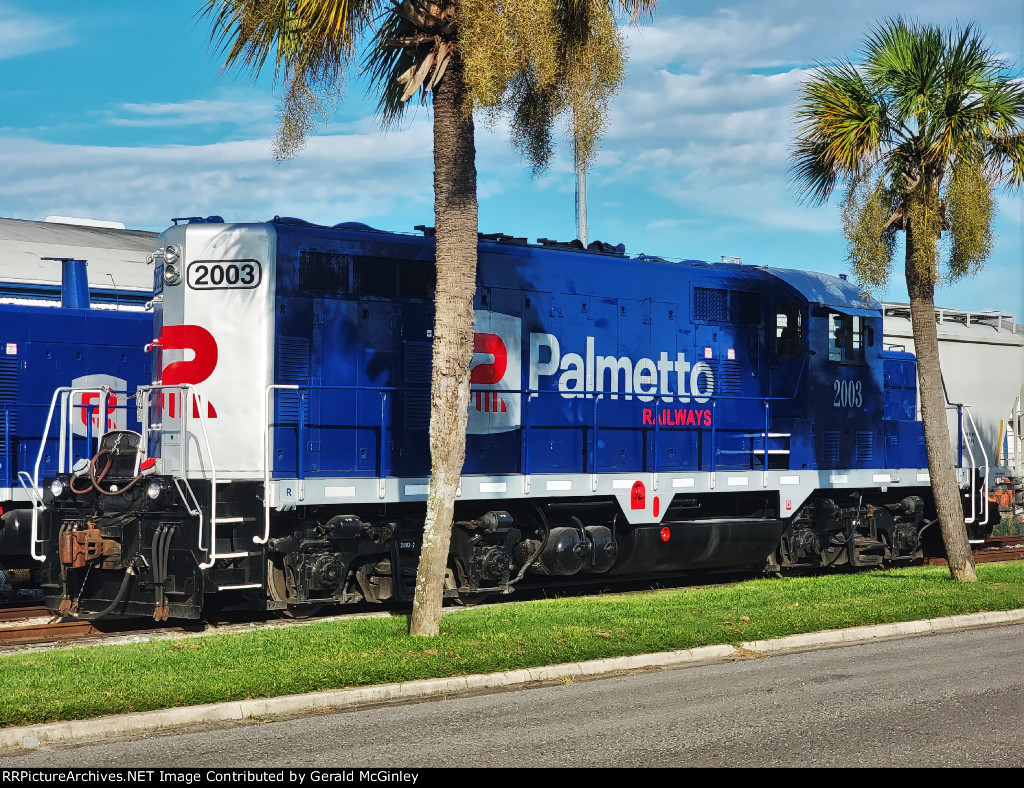 The Palmetto with Palmettos